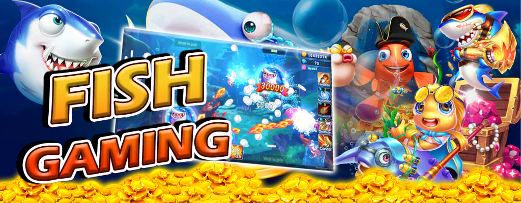 jilifish login